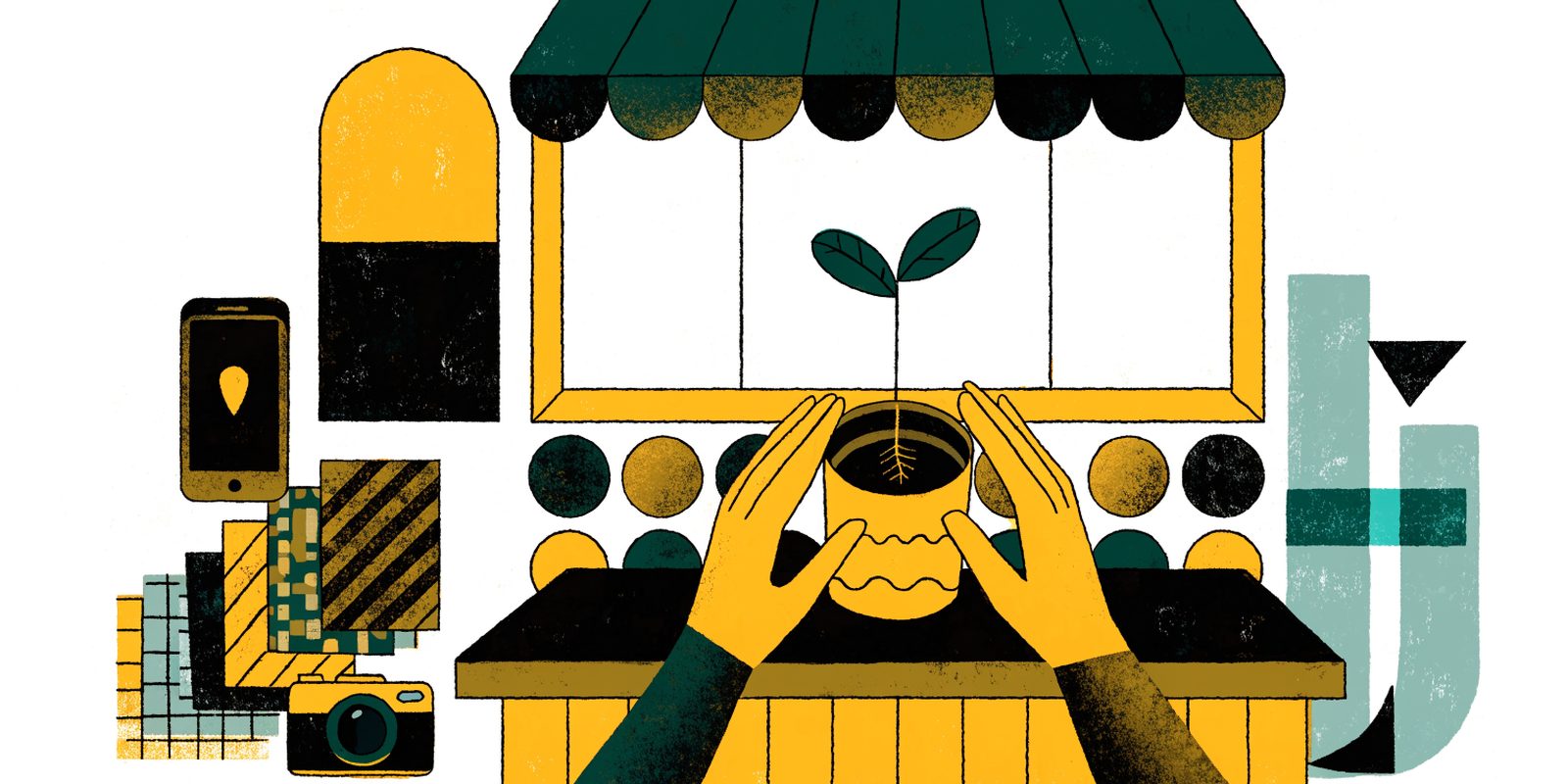 Illustration for the chapter Plant